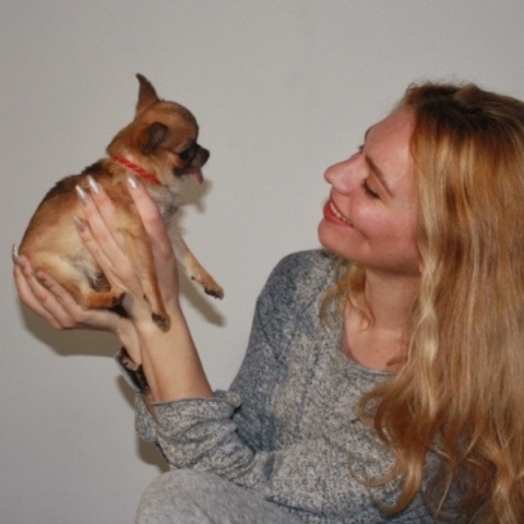 Φοβούνται οι σκύλοι το σκοτάδι;