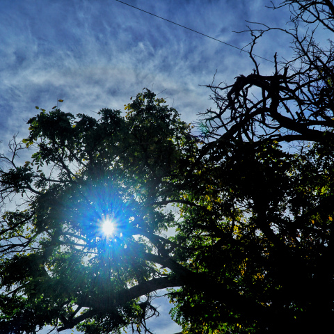 Ο θερμότερος Νοέμβριος τα τελευταία 15 χρόνια σε Θεσσαλία, Πελοπόννησο, Κρήτη και Νησιά Αιγαίου