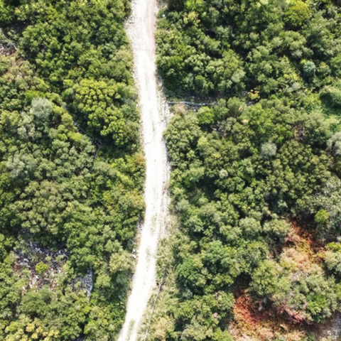 Φάρμα Λαφιωτάκη