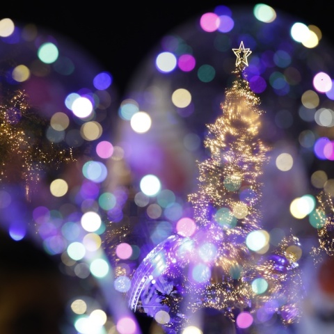 Το χριστουγεννιάτικο δέντρο στο Σύνταγμα