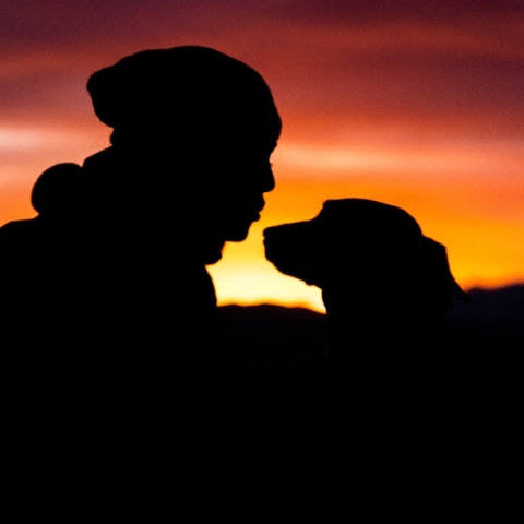 Οι πετυχημένες δοκιμές του φαρμάκου LOY-001 που αυξάνει τη διάρκεια ζωής στους σκύλους - Η βιοτεχνολογική εταιρεία Loyal έλαβε έγκριση από την FDA