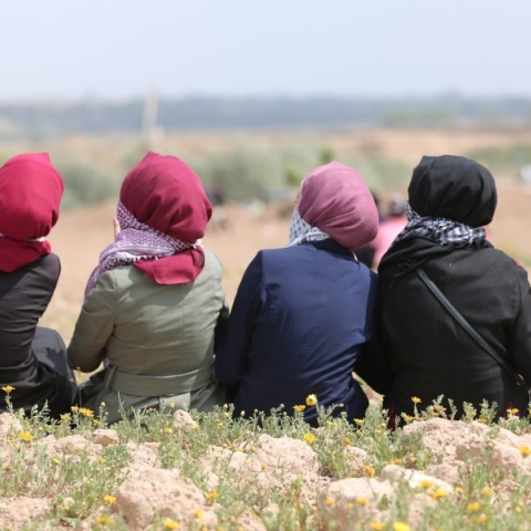 Ισραήλ - Παλαιστίνη: οι Μαινάδες και η Αθηνά