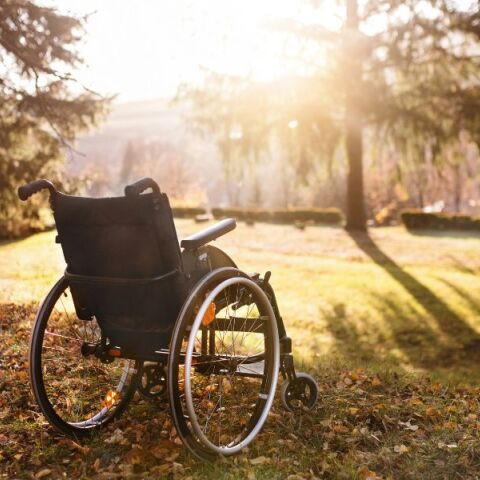 Παπασταύρου για Παγκόσμια Ημέρα Αναπηρίας: «Ημέρα ευαισθητοποίησης και μεγάλης ευθύνης»