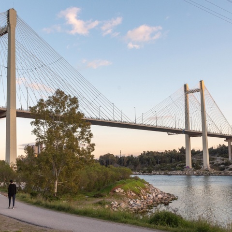 Η γέφυρα της Χαλκίδας