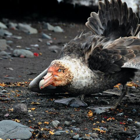 Κλιματική αλλαγή