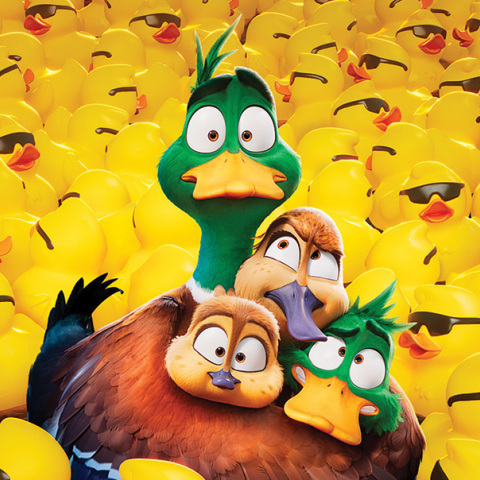 Ένα ταξίδι για πάπιες