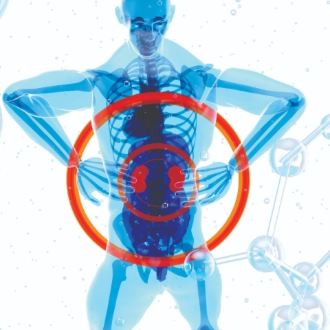 Χρόνια Νεφρική Νόσος: Η σημασία της διάγνωσης