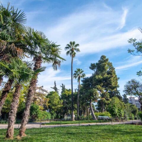 Δήμος Αθηναίων: Ολοκληρώθηκε η ανάπλαση στο πάρκο Δρακόπουλου - Παραδίδεται στη γειτονιά αναβαθμισμένο, ασφαλές και φωτεινό.