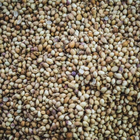 Σπόροι τσία