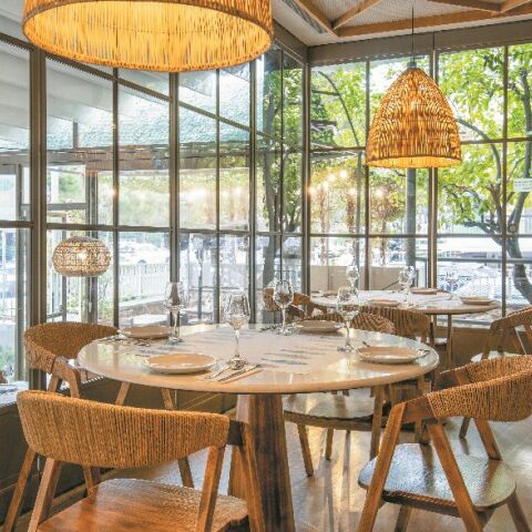 Μπαρμπουνάκι δια χειρός Παπαϊωάννου