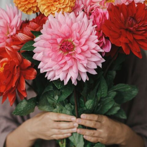 Ποιοι γιορτάζουν σήμερα 17 Δεκεμβρίου; Το εορτολόγιο της Athens Voice σου τους θυμίζει. Μην ξεχάσεις να τους δώσεις τις καλύτερες ευχές σου!