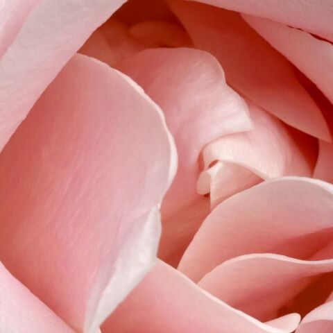 Ποιοι γιορτάζουν σήμερα 18 Δεκεμβρίου; Το εορτολόγιο της Athens Voice σου τους θυμίζει. Μην ξεχάσεις να τους δώσεις τις καλύτερες ευχές σου!