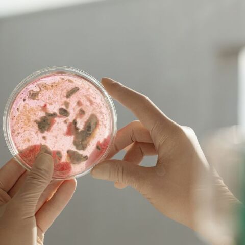 Ανασκόπηση Nature: Δέκα άνθρωποι που βοήθησαν στη διαμόρφωση της επιστήμης το 2023 - Ανάμεσά τους μια Ελληνίδα - Οι πρωτοποριακές ανακαλύψεις της χρονιάς.