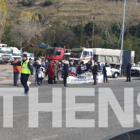 Αράχωβα: Συγκέντρωση διαμαρτυρίας για τον Όλιβερ από μέλη φιλοζωικών οργανώσεων - Θα πραγματοποιηθεί πορεία στους δρόμους της πόλης.