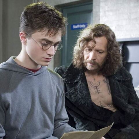 «Οι ταινίες του Μπάτμαν και του Χάρι Πότερ με έσωσαν» - Η αποκάλυψη του Γκάρι Όλντμαν