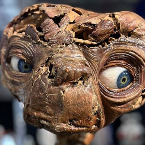 Το μηχανικό κεφάλι του Ε.Τ. από την οσκαρική ταινία επιστημονικής φαντασίας του Στίβεν Σπίλμπεργκ πουλήθηκε έναντι 635.000 σε δημοπρασία.