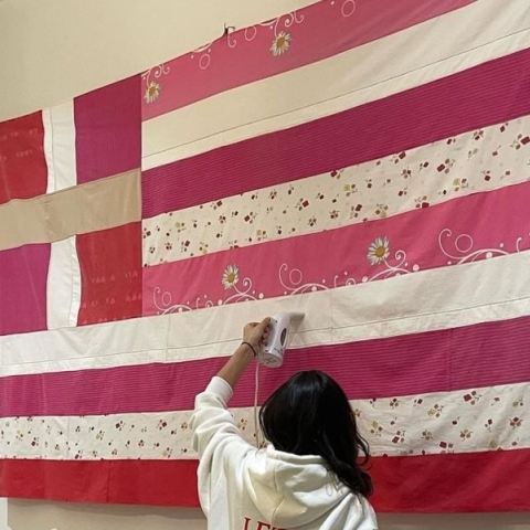  Όταν η εθνική βαρβατίλα φοβήθηκε το ροζ