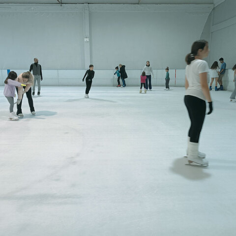 iceskate__1_