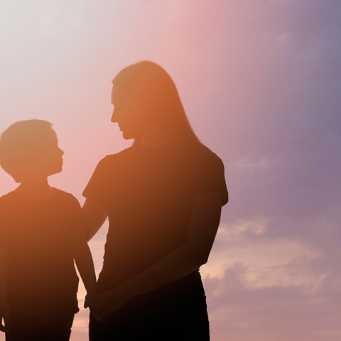 Μονογονεϊκές οικογένειες στις ΗΠΑ