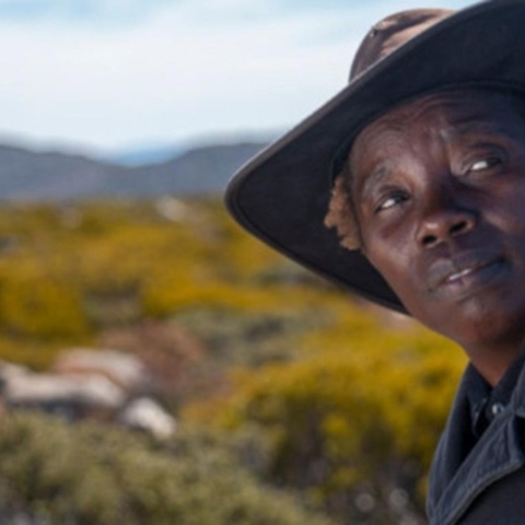 Κριτική ταινίας: The Survival of Kindness