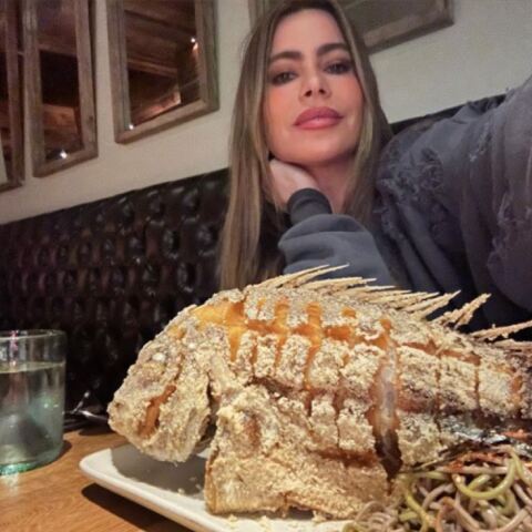 Σοφία Βεργκάρα: Το «σατανικό» ψάρι που ανάρτησε στο Instagram