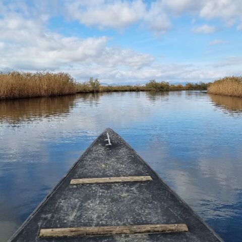 Το Δέλτα του ποταμού Έβρου