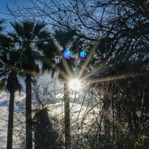 Η πρόγνωση του καιρού