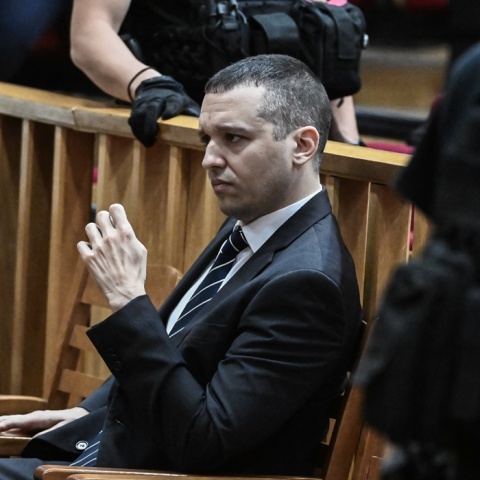 Ο καταδικασμένος χρυσαυγίτης, Ηλίας Κασιδιάρης