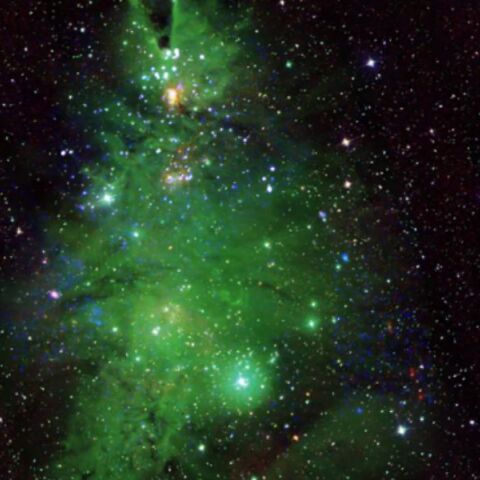 Το χριστουγεννιάτικο αστρικό δέντρο του Γαλαξία μας «δια χειρός» NASA