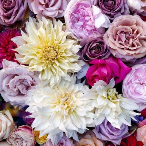 Εορτολόγιο: Σήμερα 28 Δεκεμβρίου γιορτάζει…