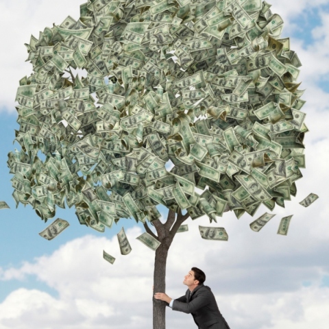 Από την αµεριµνησία στον ρεαλισµό