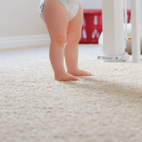 ptolemaida_nekro_vrefos_15_minon