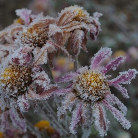 Ποιοι γιορτάζουν σήμερα 10 Ιανουαρίου;