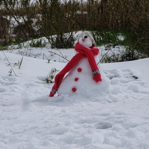 Χιονάνθρωπος πάνω σε χιόνια με κλαδιά για χέρια και κασκόλ