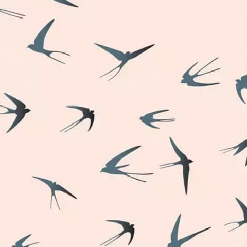 «Απειρόγωνο» του Κόλουμ ΜακΚαν, εκδ. Καστανιώτη