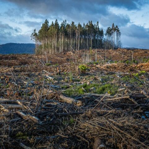 Eκδήλωση για την κλιματική κρίση από το Ινστιτούτο Δημοκρατίας Κωνσταντίνος Καραμανλής