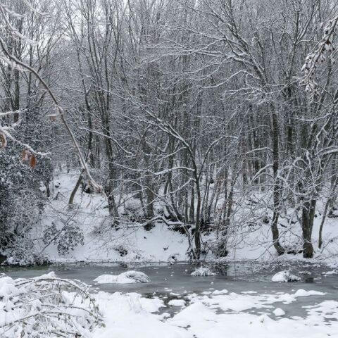 Νέο κύμα ψύχους το Σαββατοκύριακο - Ποιες περιοχές θα ντυθούν στα λευκά