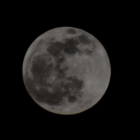 Το «Φεγγάρι του Λύκου» στον σκοτεινό ουρανό του Γενάρη 