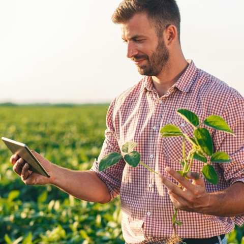 Αγρότης κρατά στα χέρια του κινητό και φυτό ενώ βρίσκεται χωράφι