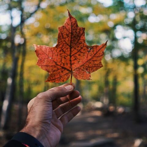 Ο Καναδάς είναι η πιο ασφαλής χώρα για ταξίδια το 2024, σύμφωνα με τη λίστα της BHTP - Οι παράγοντες αξιολόγησης - Οι 15 προορισμοί που βρίσκονται στην κορυφή.