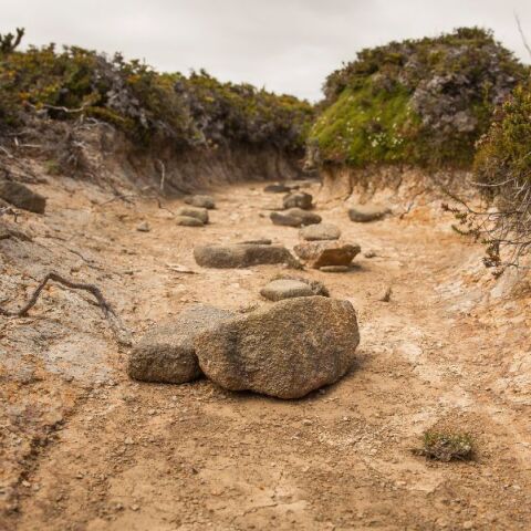 Ξηρασία και έλλειψη νερού
