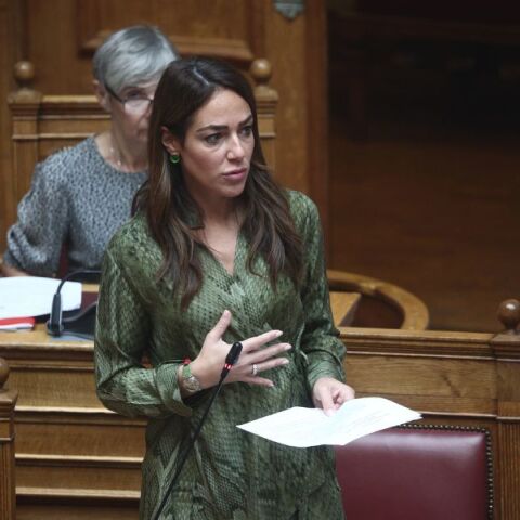 Δόμνα Μιχαηλίδου για συντάξεις, κατώτατο μισθό και επιδόματα