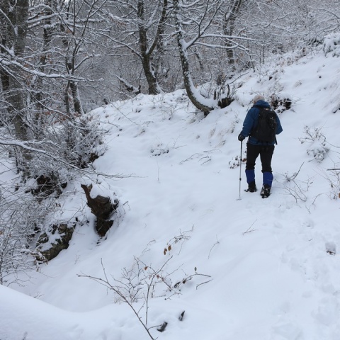 Χιόνια και άτομα που περπατά