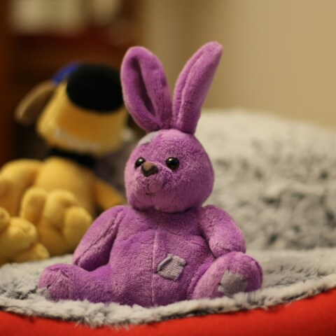 Λούτρινο κουκλάκι πάνω σε κρεβάτι