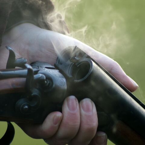 Άνδρας πυροβόλησε εν ψυχρώ σκύλο μπροστά σε ανήλικα παιδιά στην Πάργα