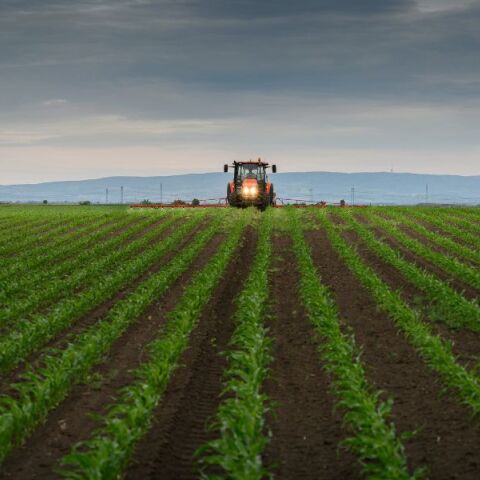 ΕΕ: Η πρώτη συνάντηση της «Συμμαχίας του Νότου» για θέματα γεωργίας, με ελληνική πρωτοβουλία - Κοινό μέτωπο απέναντι στα προβλήματα - Τι συμφωνήθηκε.