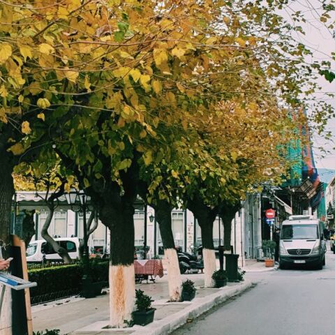 Τέλη Κυκλοφορίας 2024 παράταση: Προθεσμία πληρωμής - Δείτε πώς θα εκτυπώσετε το αποδεικτικό