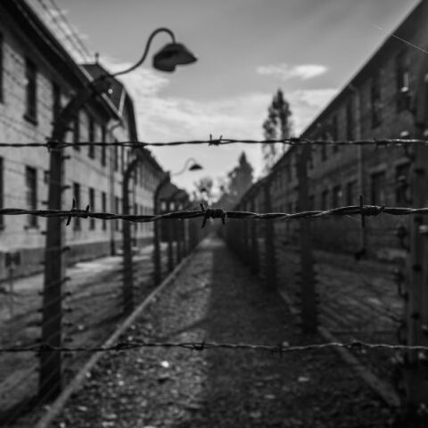 Το Ολοκαύτωμα τ