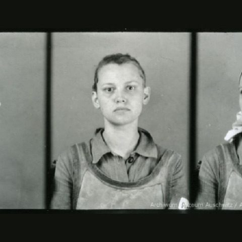 Στρατόπεδο συγκέντρωσης Άουσβιτς Πολωνία