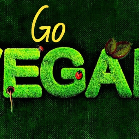 Αφιέρωμα Vegan Athens Voice 